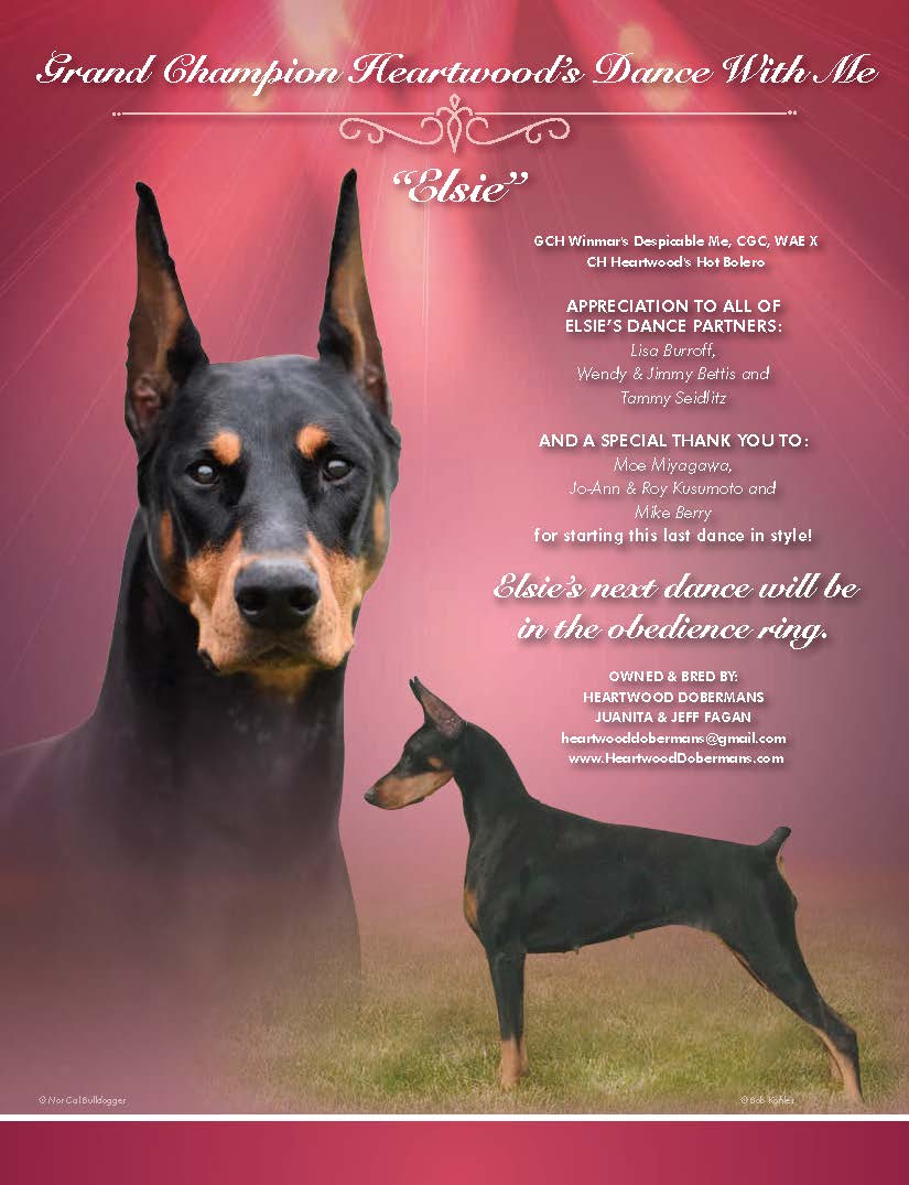 winmar dobermans